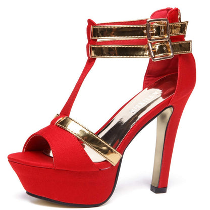 Vintage Chunky Heel T-Strap Platform Heels